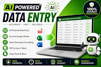ai powered data entry, web research, excel and data cleaning