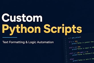 write a custom python script to format and validate text