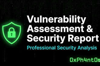 perform a website vulnerability assessment and security report