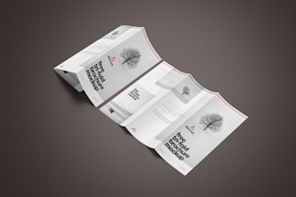design a professional brochure and format datasheets