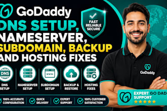 setup godaddy dns setup, nameserver, subdomain, backup and hosting fixes