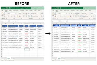 provide professional data cleaning and data preprocessing services