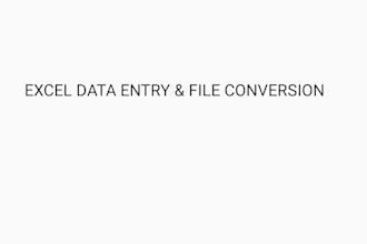 do expert ms excel data entry and copy paste work