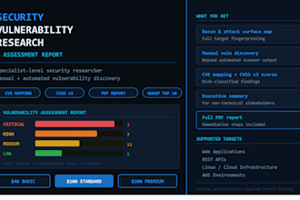 do security vulnerability research and assessment report