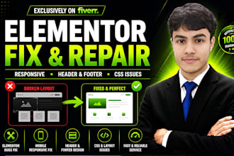fix wordpress, elementor issues and responsive issues