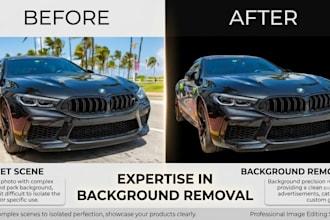 professional in remove your bg and unwanted item