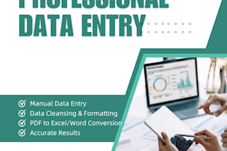 do fast data entry typing work and PDF to word conversion