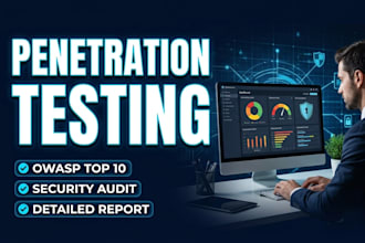 perform web application penetration testing and security audit