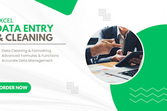 do advanced excel, data entry, data cleaning and formatting