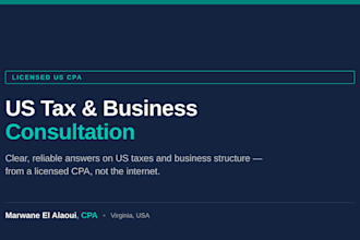 provide a US tax and business consultation as a licensed CPA