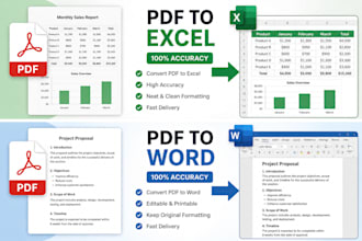 convert PDF to excel and word manually with 100 accuracy
