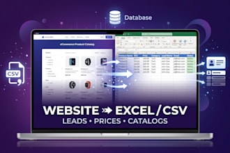 scrape website data to excel csv lead list