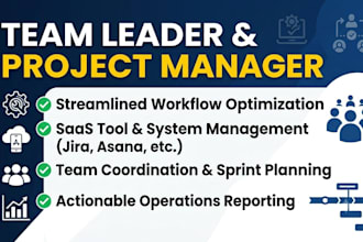 manage teams , sas and,or projects