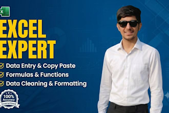 do professional microsoft excel data entry and formatting