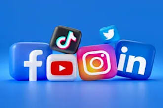build custom social media bot, instagram api bot, tiktok bot, youtube bot