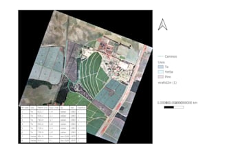clean and organize your forestry data using qgis