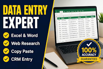 do advanced excel data entry, data cleaning, and data merging