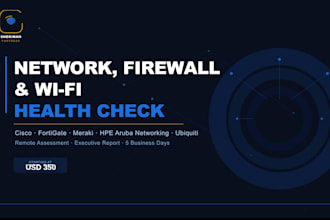 deliver a remote network and firewall health check with executive report