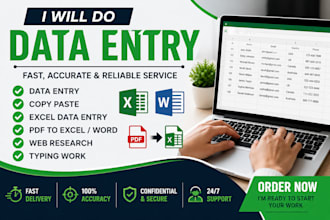 do data entry copy paste