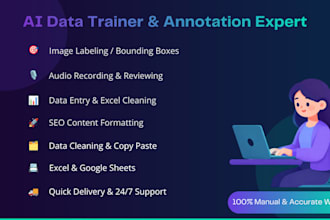 do ai data labeling image annotation audio recording and data entry