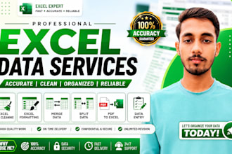 do excel data cleaning, formatting, merge, split, PDF to excel, and data entry