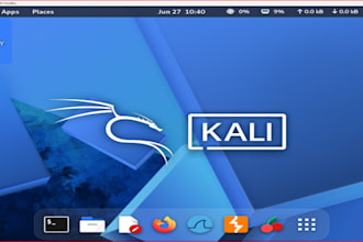 perform web security testing and vulnerability assessment