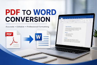 convert PDF to word and do accurate data entry