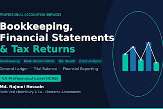 do bookkeeping, accounting, financial and tax reporting