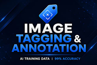 do accurate image tagging, data labeling and data annotation