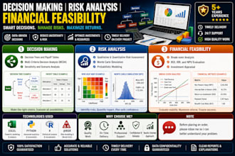 help on decision making, risk analysis, financial feasibility excel, assigned