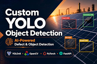 build a custom yolov8 object detection model
