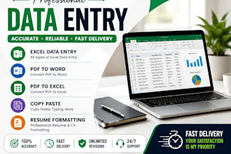 do accurate data entry, excel data entry, excel data entry, copy paste