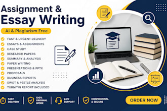 provide expert academic writer services