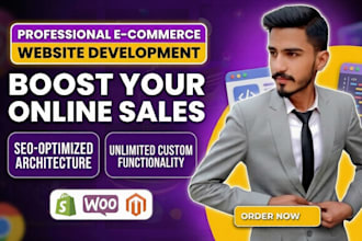 build a professional e commerce website or shopify store