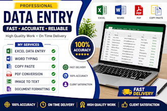 do accurate data entry, copy paste, excel and word typing