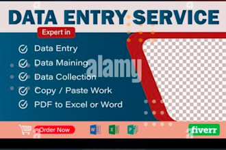 do professional data entry and copy paste work