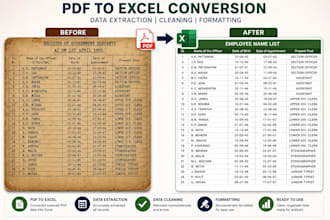 convert PDF to excel with data extraction and formatting