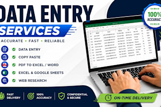 do accurate data entry, copy paste, web research, email leads,PDF to excl entry