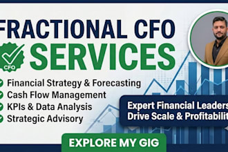 provide fractional cfo services for business scaling