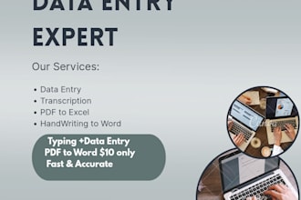 do fast and accurate data entry, typing and excel work