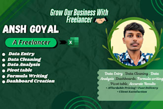 do data entry, data cleaning, dashboard and pivot table