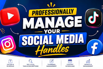 professionally manage your youtube, instagram and tiktok handles