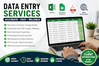 do accurate data entry and ms excel or google sheets work