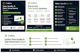 implement collibra data quality and data governance solutions