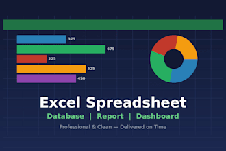 create a professional excel spreadsheet, database, or report