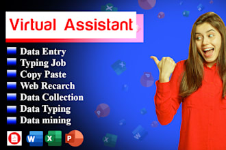 do high quality data entry and spredsheet management