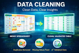 do a professional data cleaning and preparation for analysis