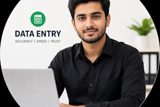 do professional financial data entry and virtual bookkeeping in excel
