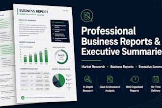 professional business report and executive summary writer