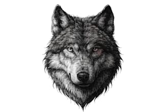 create a stunning tattoo design with detail by a profess